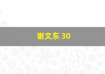 谢文东 30